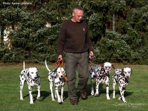 Dog Training Seminar: Wir laden Sie herzlich ein