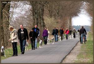 Dog Training Seminar: The common obedient walk with dogs