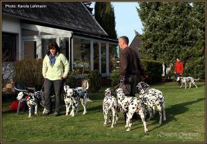 Dog Training Seminar: Encounter of two different packs