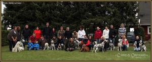 Dog Handling Seminar: Group photo - We cordially invite