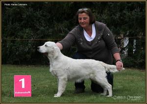 Dog Handling Seminar: Präsentieren des Hundes vor dem Platzierungsschild