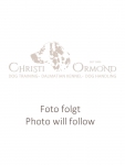Christi ORMOND Javis Journey