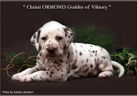 Christi ORMOND Goddess of Victory