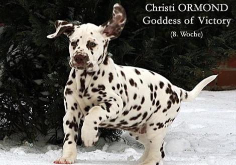 Christi ORMOND Goddess of Victory