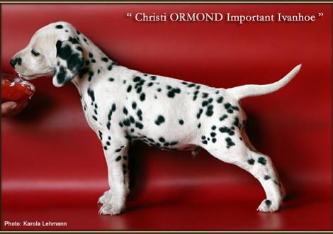 Christi ORMOND Important Ivanhoe