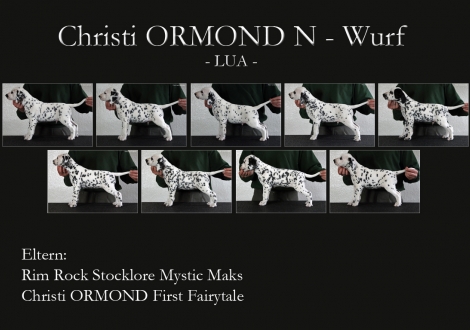 Standfotos Christi ORMOND N - Wurf