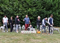 Summary of our Kennel 2025