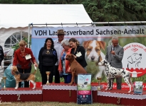 4. National Dog Show Schloss Meisdorf - Germany