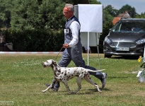 Regional Group Dog Show in Riede - Germany