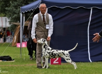 Regional Group Dog Show in Harzgerode - Germany