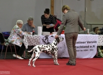 Regional Dog Show in Krosigk - Germany