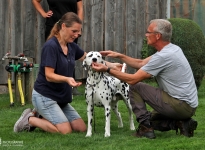 Fotoimpressionen 18. Dog Handling Seminar