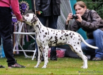 Price-Spots Hope and Glory