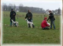 Showing the dogs & distances