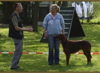 Individual interview & training for specific breeds