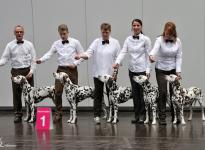 Präsentation der Christi ORMOND Zuchtgruppe auf der World Dog Show in Leipzig