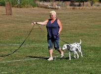 Tracking leash guide
