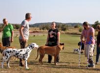 Ausbildungsstation Führung und Korrektur des Hundes beim Vorbeigehen an Gartenzäunen