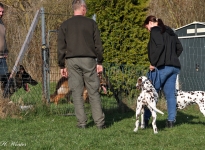 Einzelausbildung - Führung und Korrektur des Hundes beim Vorbeigehen an Gartenzäunen