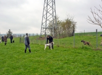 Training station Guiding and correcting the dog as it passes garden fences