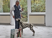 Presentation of the male Fantastic Four vom Teutoburger Wald