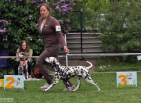 Neomie Seesing with Christi ORMOND Release Me