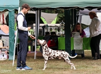 Janik Hüning with Christi ORMOND Gentle Gladiator