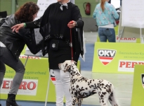 Sonja Auinger with Christi ORMOND Unforgettable Heart