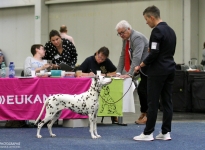 Dana Danner with Christi ORMOND Incognito Celebrity