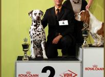 Presentation of male Christi ORMOND Exquisite Selection VDH Federal Winner Show in Dortmund 2011 - Ring of Honor