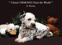 Christi ORMOND Heal the World