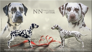 Father:  Price-Spot´s Nordic Love Potion and Mother: Christi ORMOND Zenith of Fame