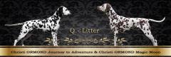 Christi ORMOND Q - Litter