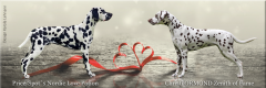 Christi ORMOND NN - Litter