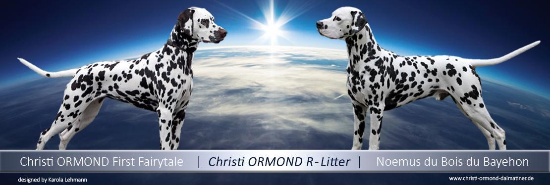Christi ORMOND R - Litter
