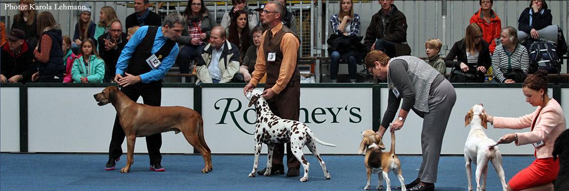 Dog Handling Presentations 2016