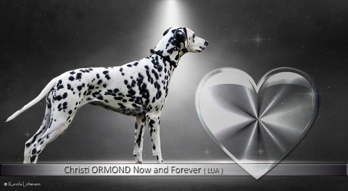 Christi ORMOND Now and Forever