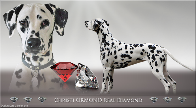 Christi ORMOND Real Diamond