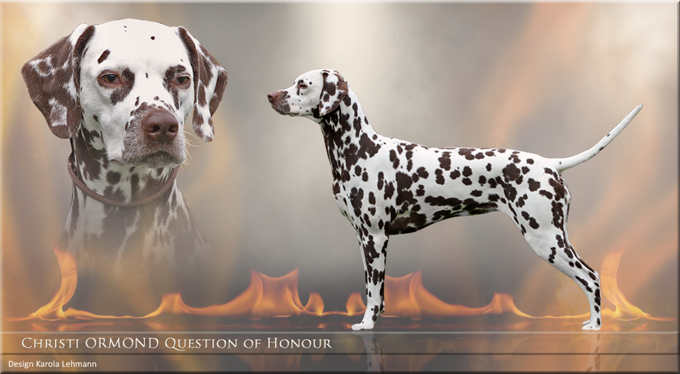 Christi ORMOND Question of Honour