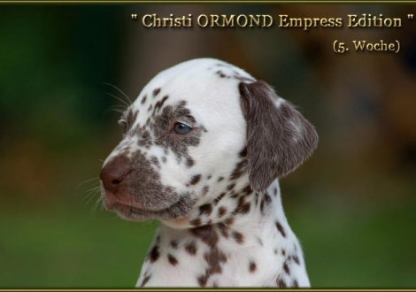 Christi ORMOND Empress Edition