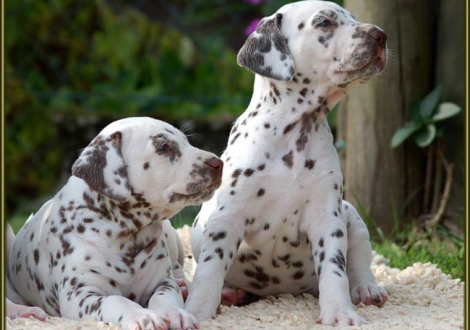 Christi ORMOND Eternity Expression (left) and Christi ORMOND Extreme Emotional (right)