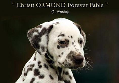 Christi ORMOND Forever Fable