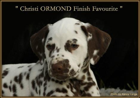 Christi ORMOND Finish Favourite