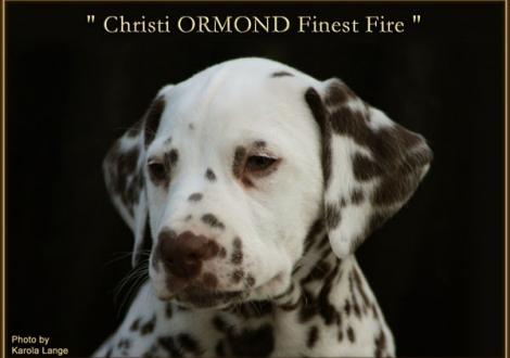 Christi ORMOND Finest Fire
