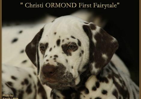 Christi ORMOND First Fairytale