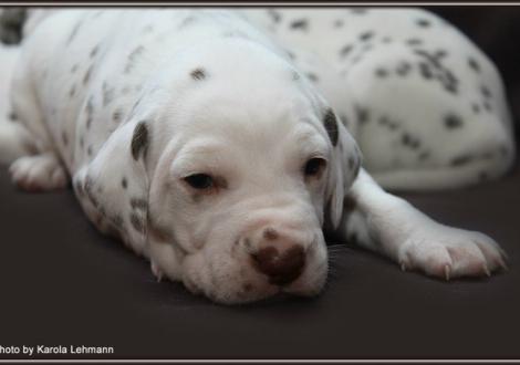 Christi ORMOND Gentle Voice