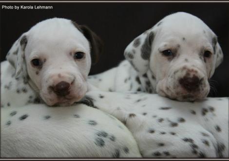 links Christi ORMOND Golden Silence und rechts Christi ORMOND Goddess of Victory