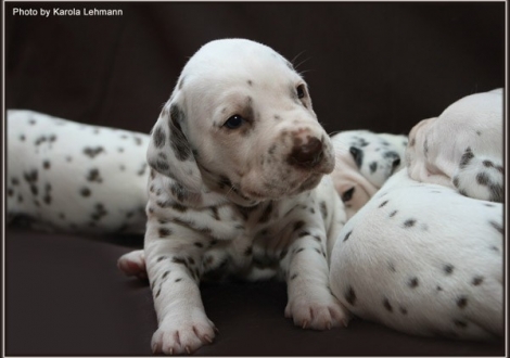 Christi ORMOND Goddess of Victory