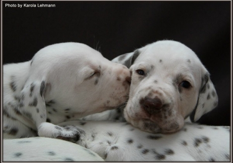 links Christi ORMOND Golden Silence und rechts Christi ORMOND Goddess of Victory