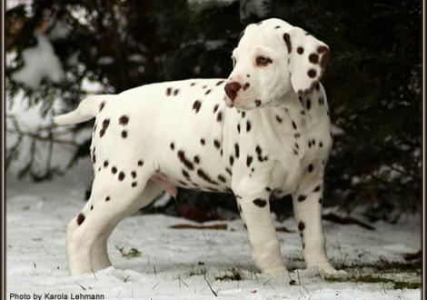 Christi ORMOND Gentle Voice